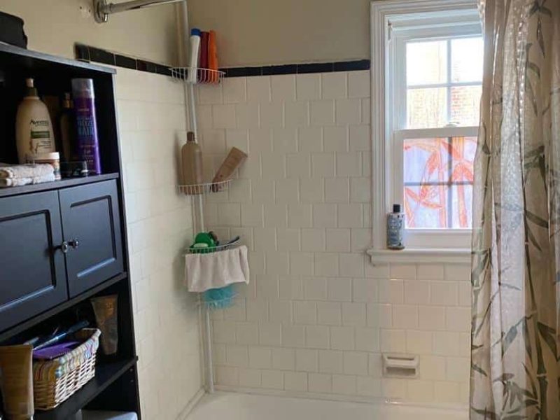 A-Tiny-Walk-in-Shower-in-Del-Ray-Alexandria-9